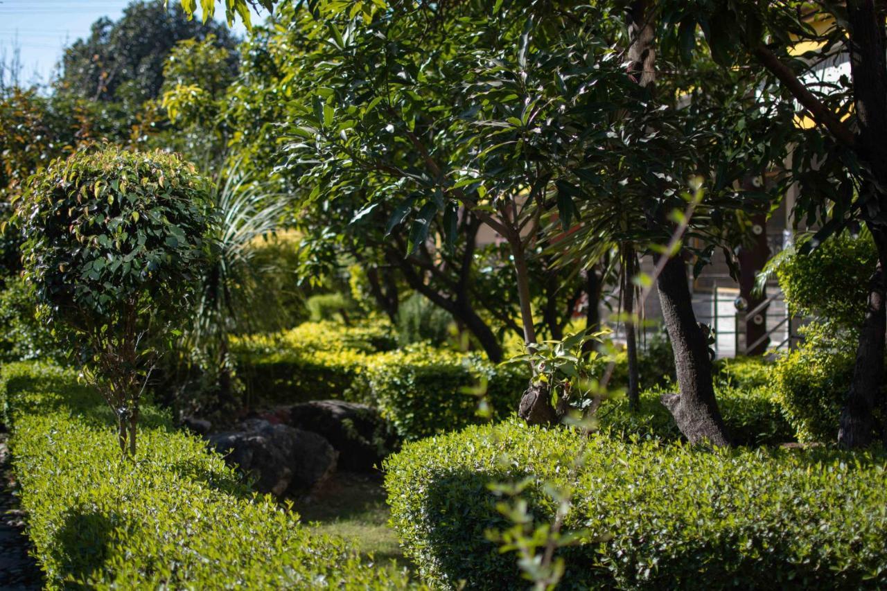 Mvt Guesthouse & Restaurant Rishīkesh Extérieur photo